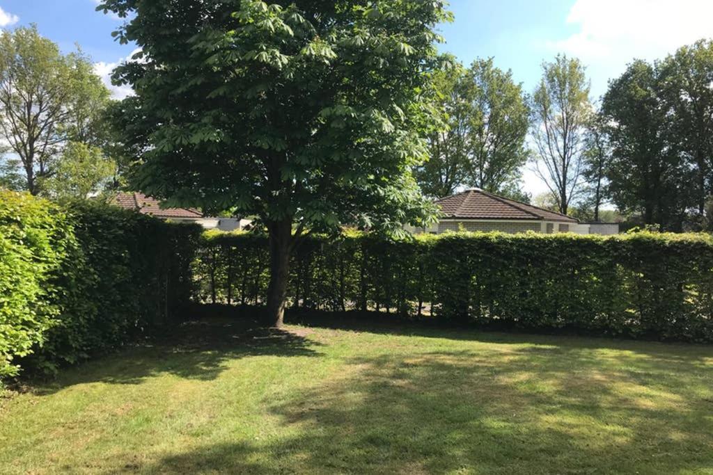 Rustig Gelegen Bungalow In Mooi Havelte Bagian luar foto